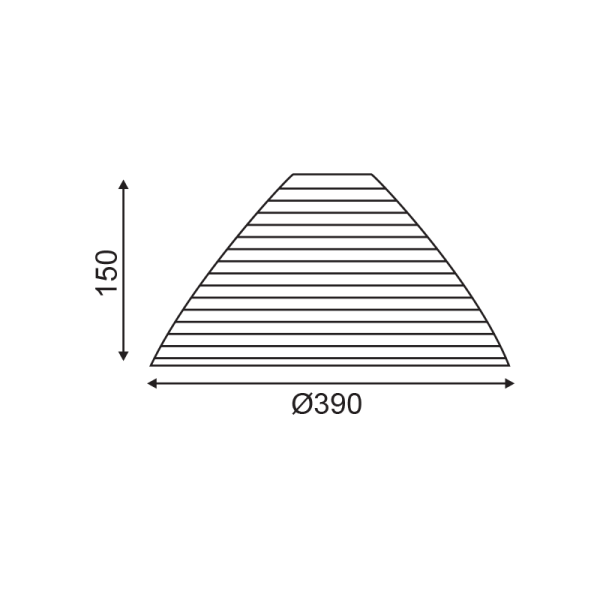 2390039WS