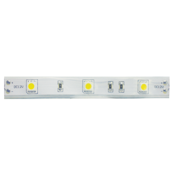 505030RPC