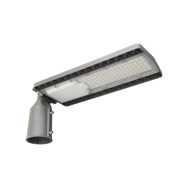 BISE3040