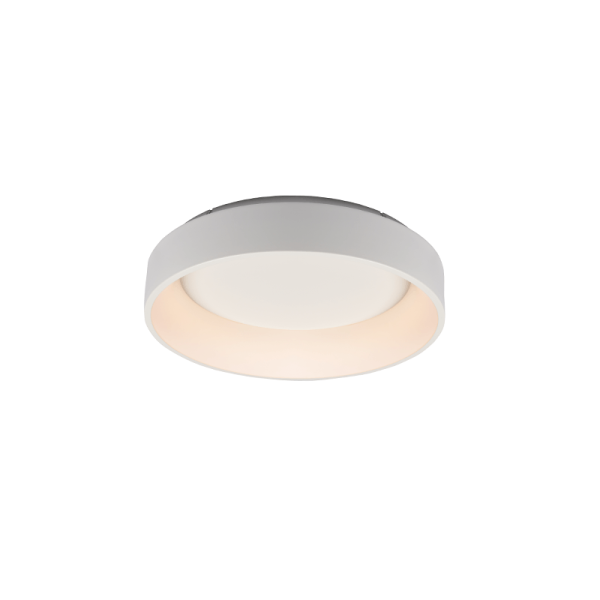 BR81LEDC45WH