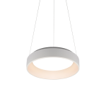 BR81LEDP45WH