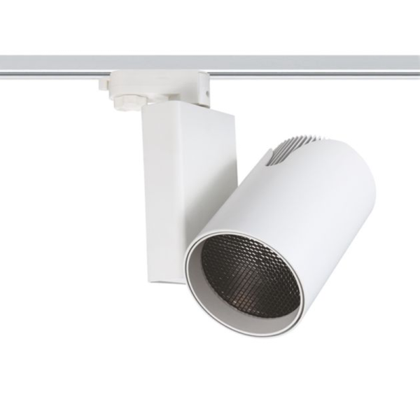 DANTE3530W4