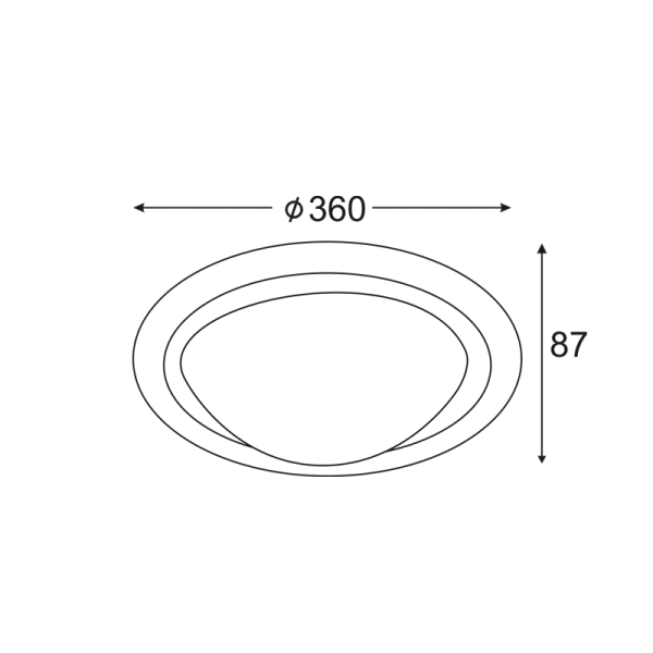 DL250L