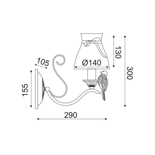 EG166081WW