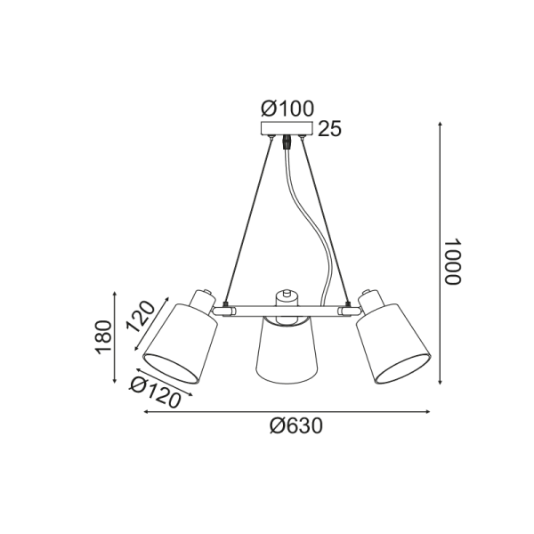 EG213P63BK