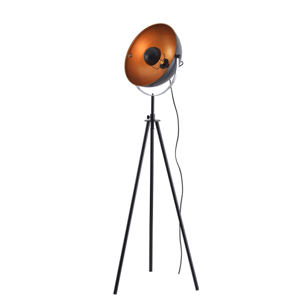 ML306681FBG