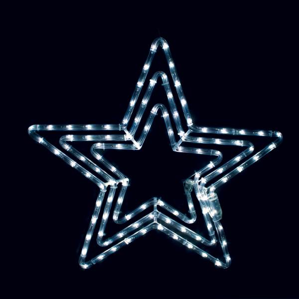 X081082231