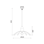 ZM170041P