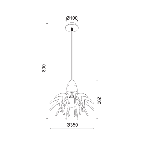 ZM170051P