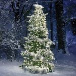 ^ 350 LED ОКТОПОД СВЕТЛИНИ, WW, АДАПТИРАТ. (31VDC), CONNECT (10 РЕДА) IP44, 10*350cm, ЗЕЛЕН КАБЕЛ